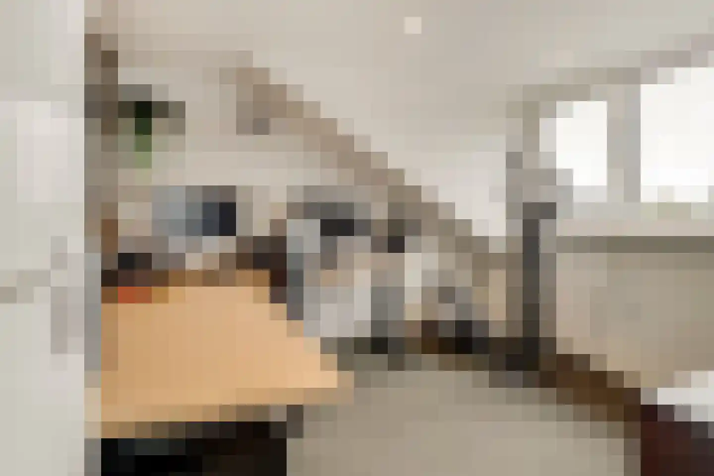 Weegbree 9 Huizen thumbnail 32