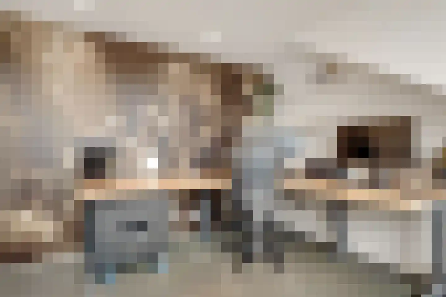 Weegbree 9 Huizen thumbnail 33