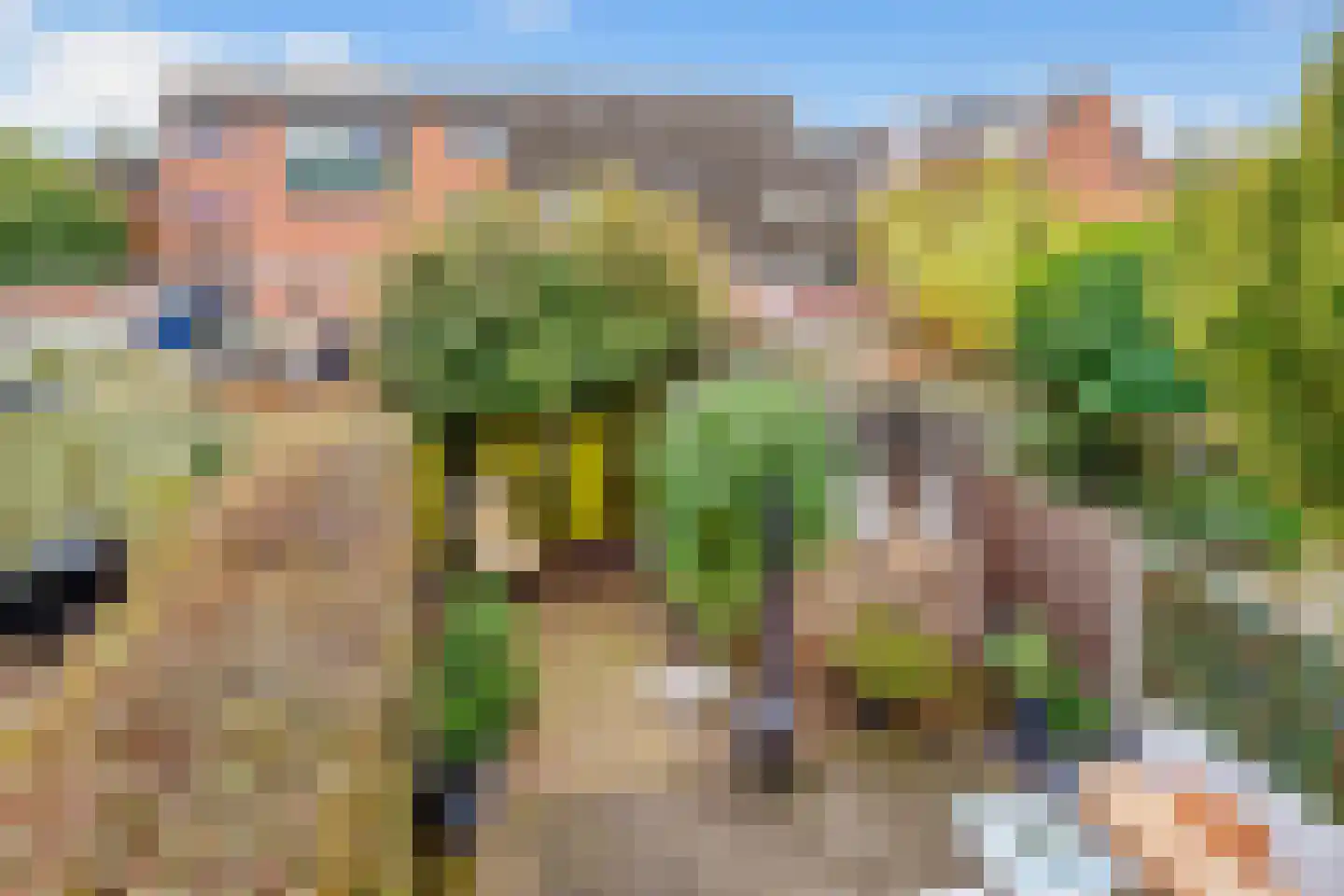 Weegbree 9 Huizen thumbnail 34
