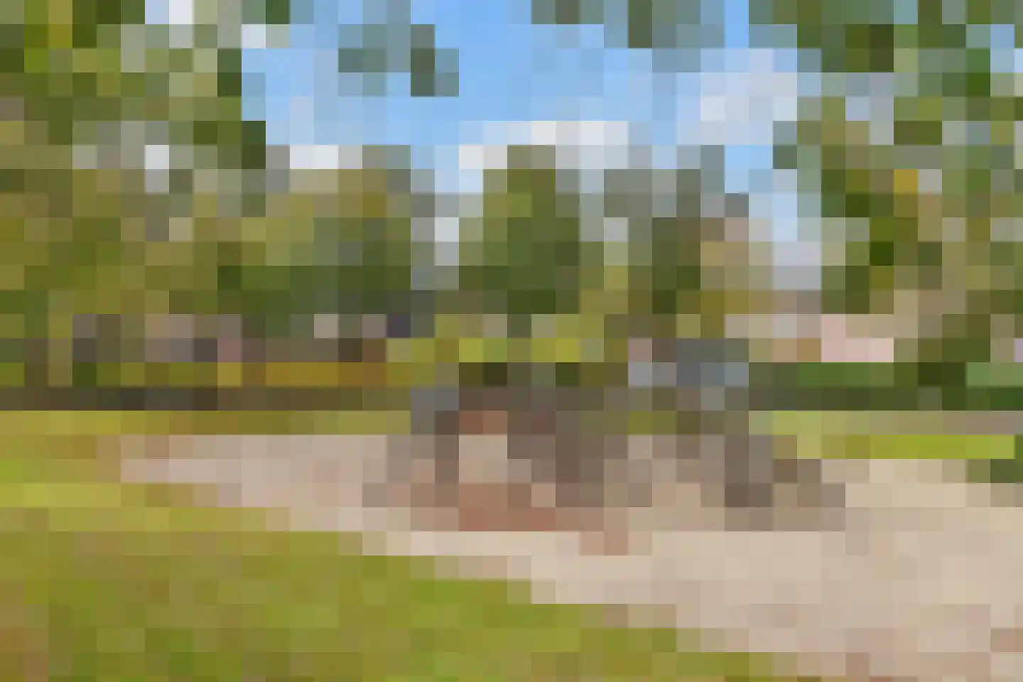 Weegbree 9 Huizen thumbnail 35