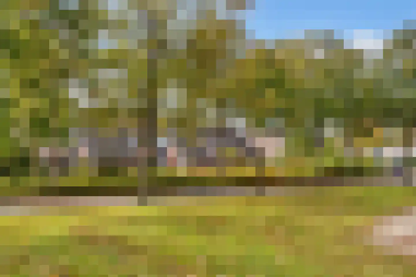 Weegbree 9 Huizen thumbnail 36