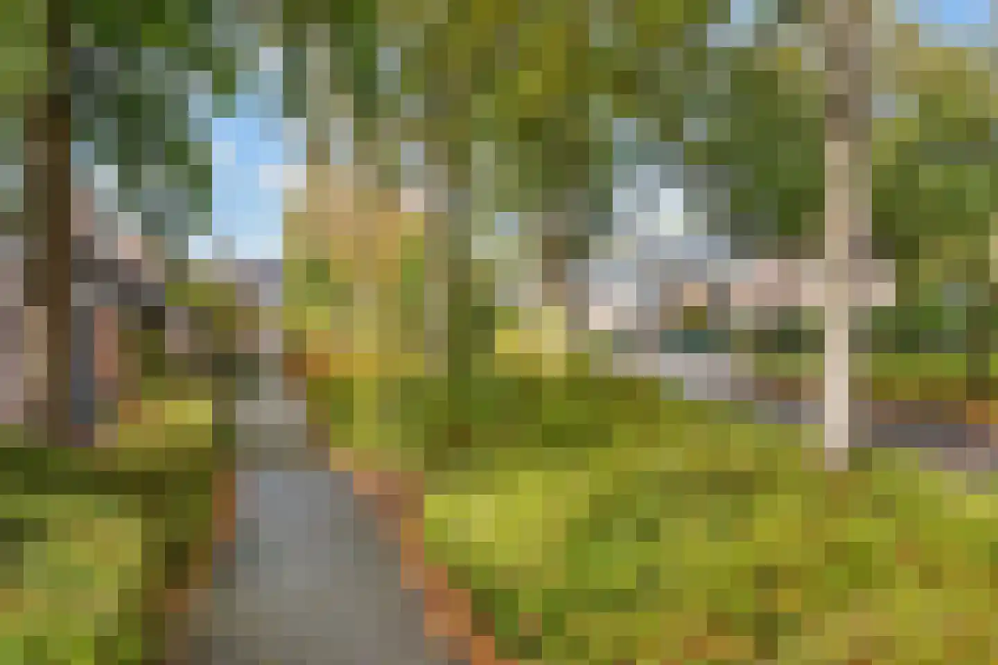Weegbree 9 Huizen thumbnail 37