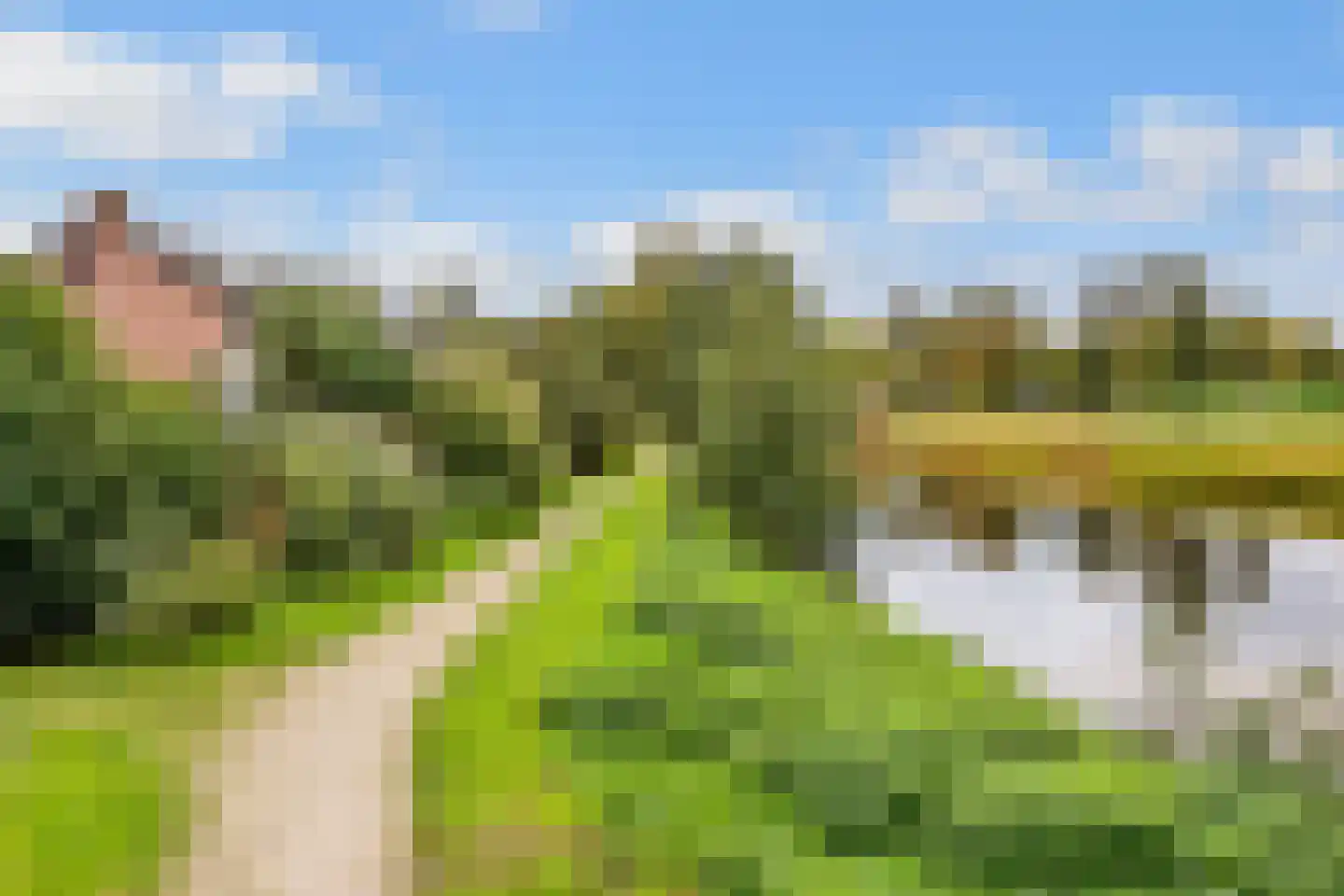 Weegbree 9 Huizen thumbnail 39