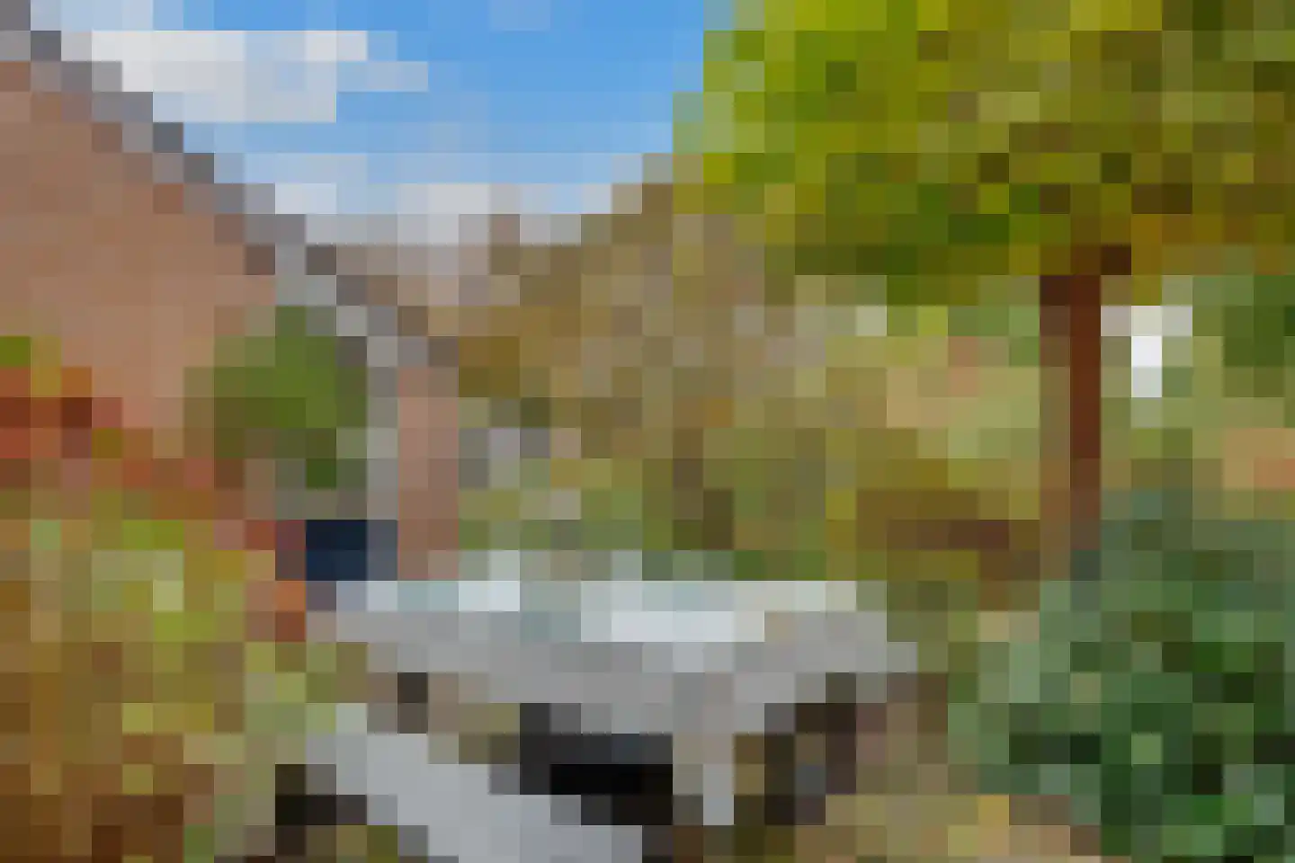 Weegbree 9 Huizen thumbnail 4