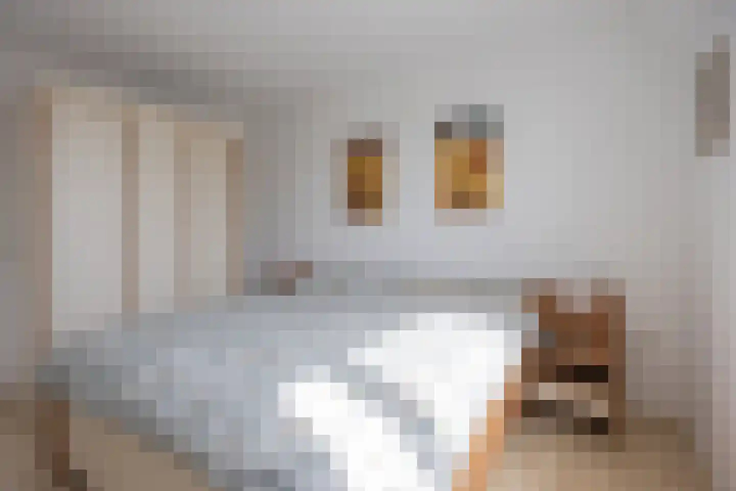 Weegbree 91 Best thumbnail 21