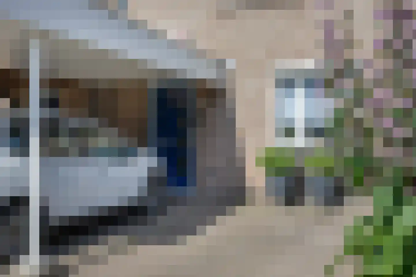 Weegbree 91 Best foto 3