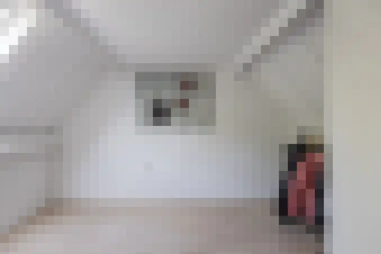 Weegbree 91 Best thumbnail 30
