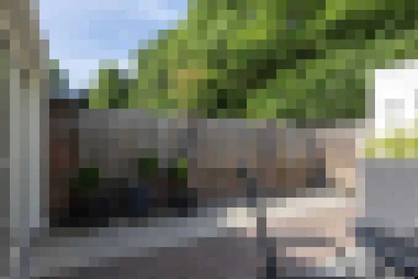 Weegbree 91 Best thumbnail 36