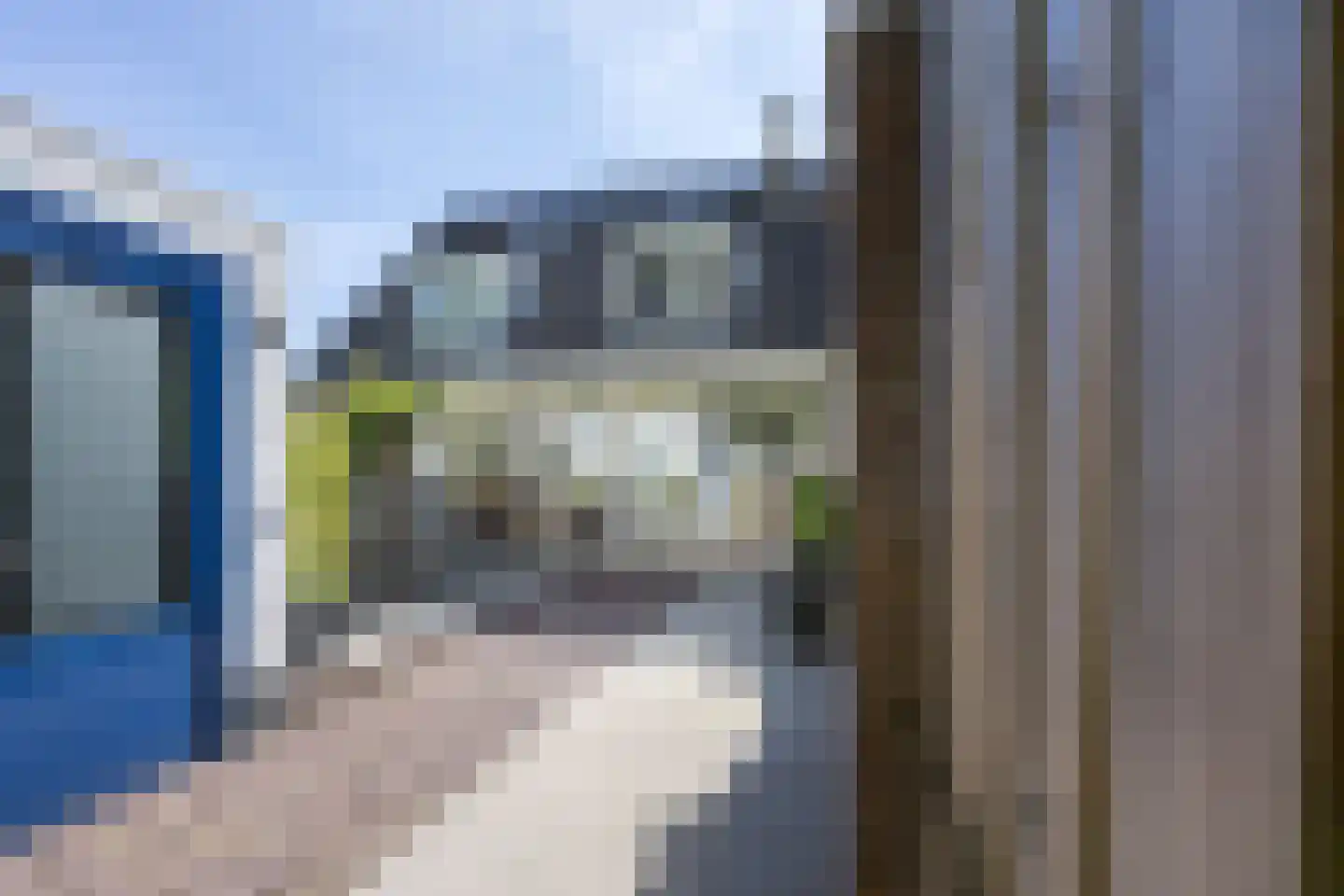Weegbree 91 Best thumbnail 37