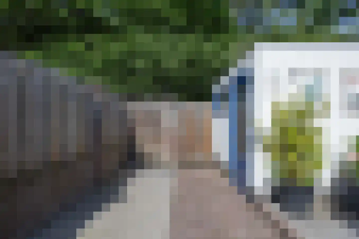 Weegbree 91 Best thumbnail 39