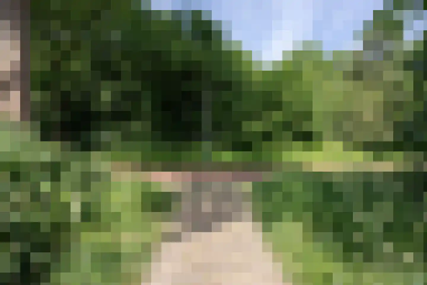 Weegbree 91 Best thumbnail 42