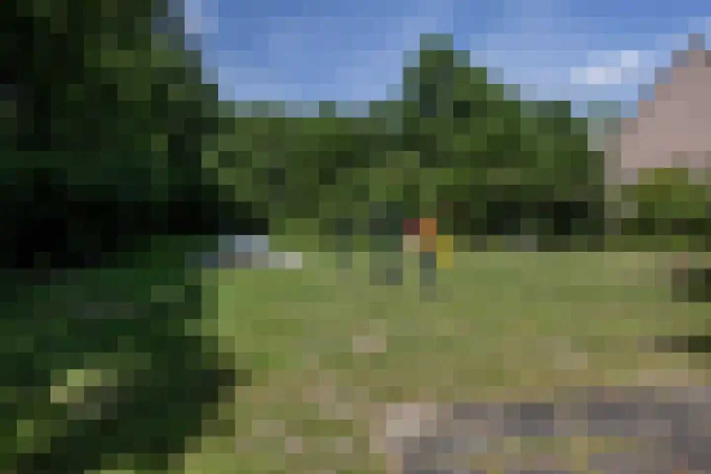 Weegbree 91 Best thumbnail 47