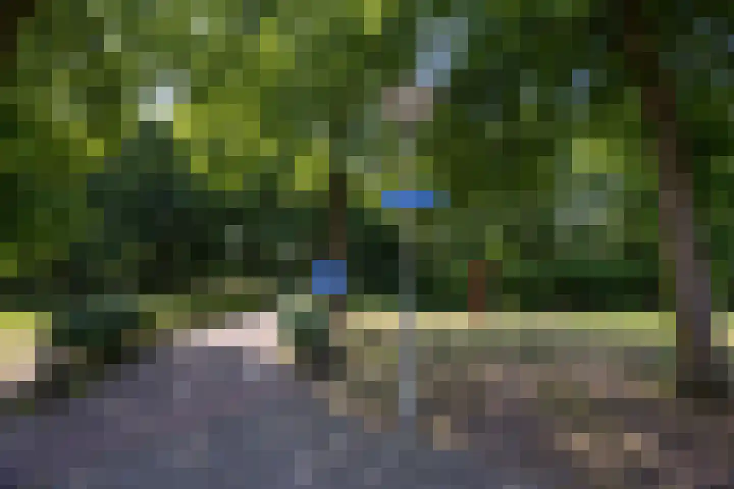Weegbree 91 Best thumbnail 48