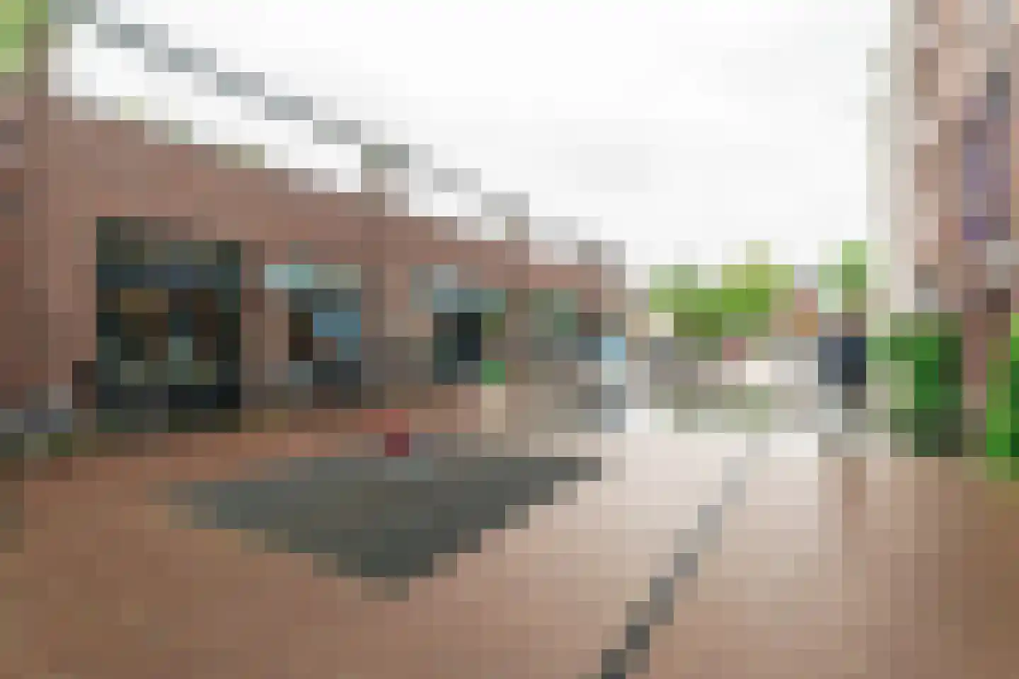 Weegbree 91 Pijnacker thumbnail 20