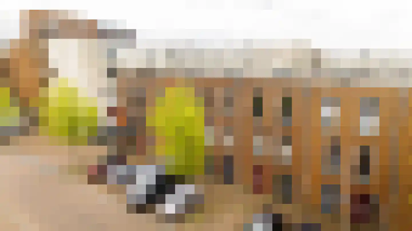 Weegbree 91 Pijnacker thumbnail 22