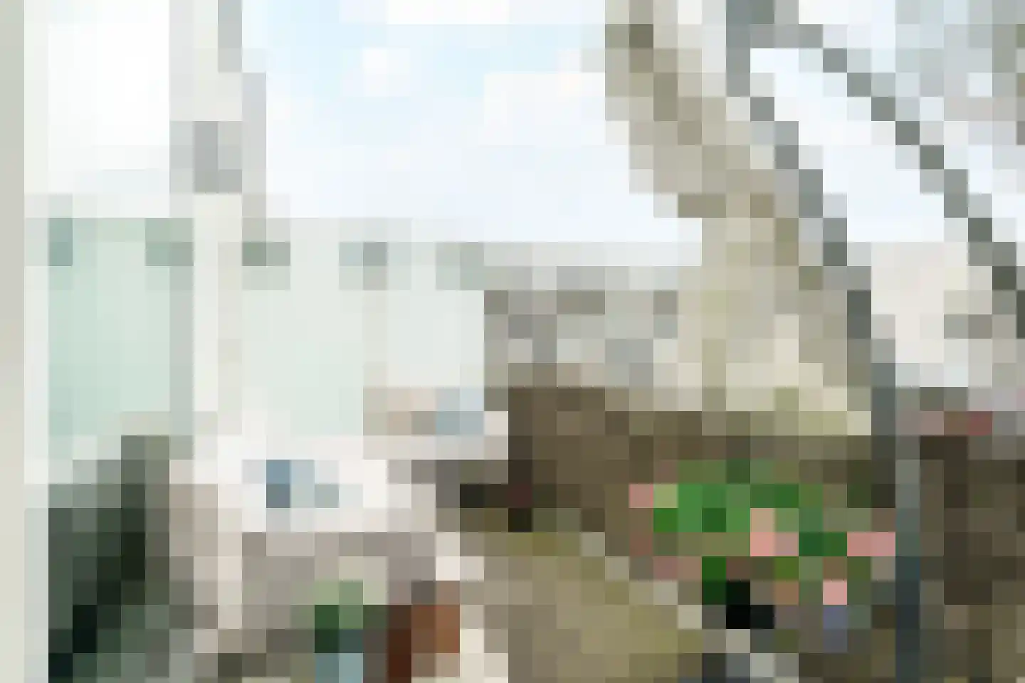 Weegbree 91 Pijnacker thumbnail 7