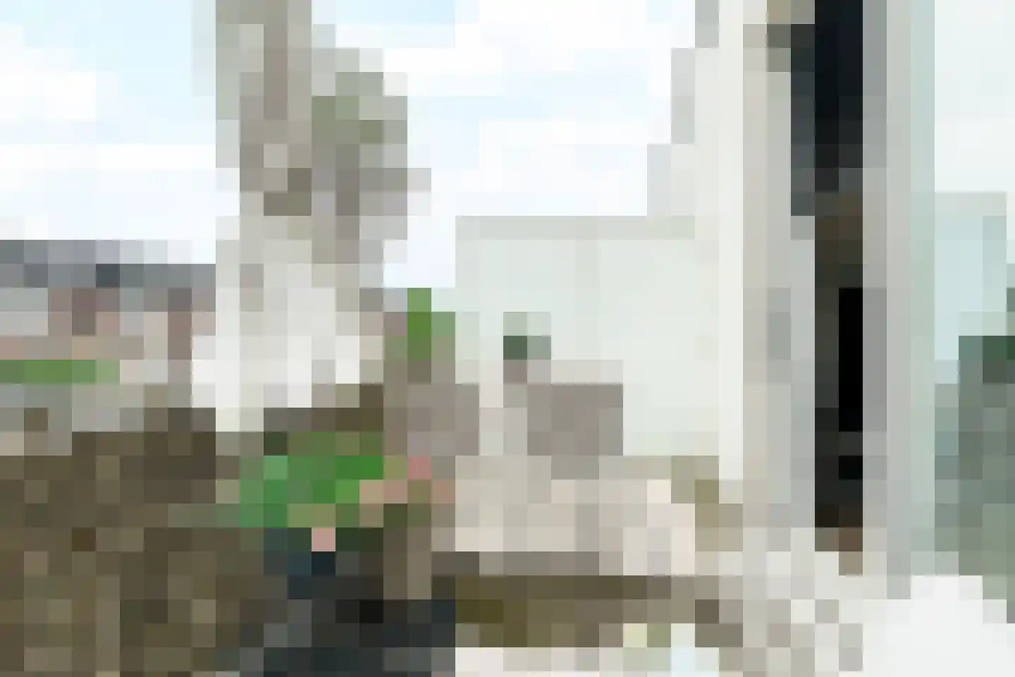 Weegbree 91 Pijnacker thumbnail 8