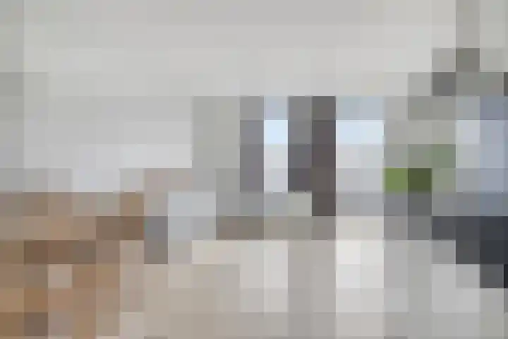 Weegbree 93 Pijnacker thumbnail 10