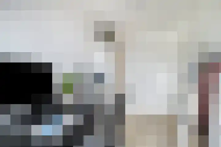 Weegbree 93 Pijnacker thumbnail 18