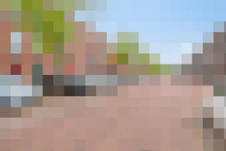 Weegbree 93 Pijnacker thumbnail 20