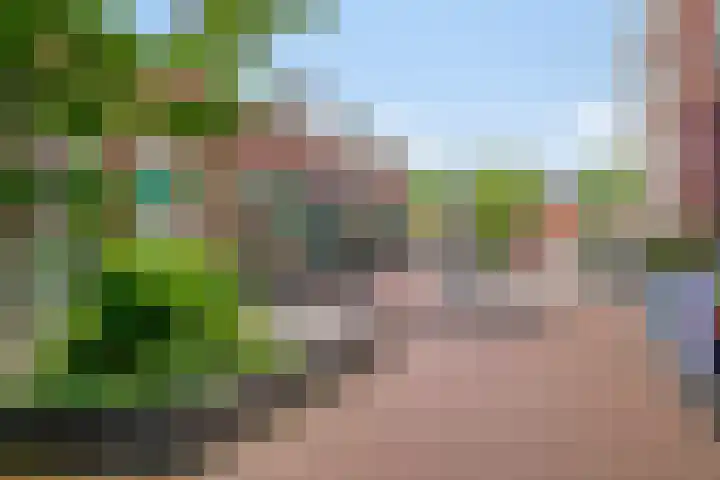 Weegbree 93 Pijnacker thumbnail 21