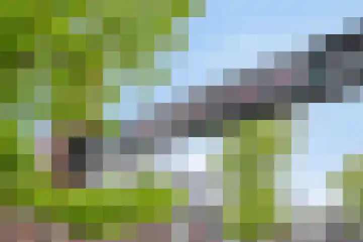 Weegbree 93 Pijnacker thumbnail 22