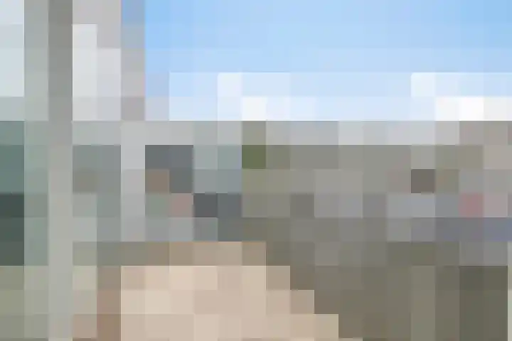 Weegbree 93 Pijnacker thumbnail 7