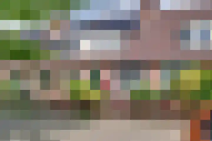 Weegbree 99 Zwaag
