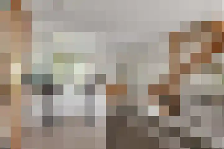 Weegbree 99 Zwaag thumbnail 13