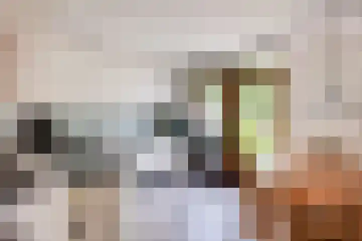 Weegbree 99 Zwaag thumbnail 15