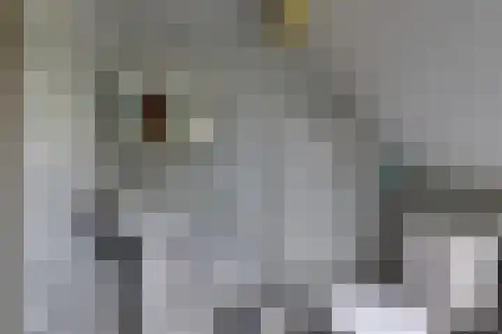 Weegbree 99 Zwaag thumbnail 27