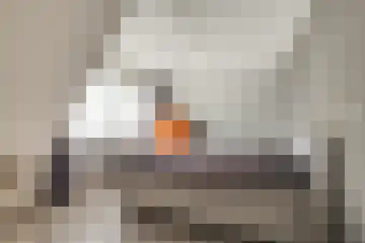 Weegbree 99 Zwaag thumbnail 30