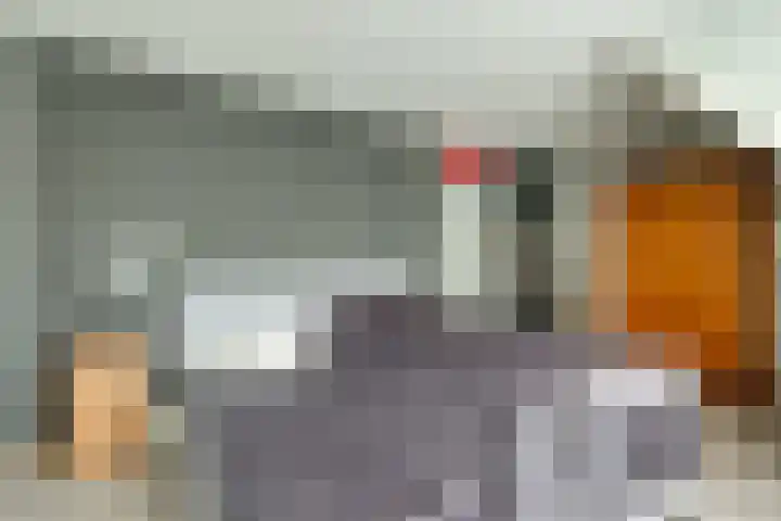 Weegbree 99 Zwaag thumbnail 32
