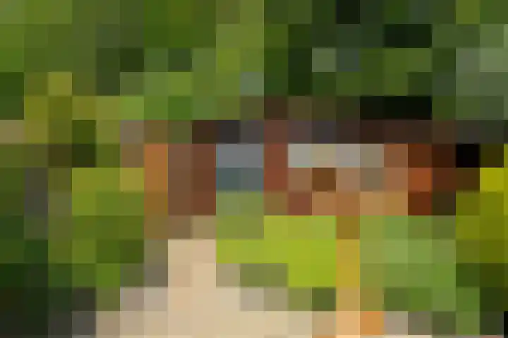 Weegbree 99 Zwaag thumbnail 4