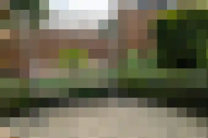 Weegbree 99 Zwaag thumbnail 44