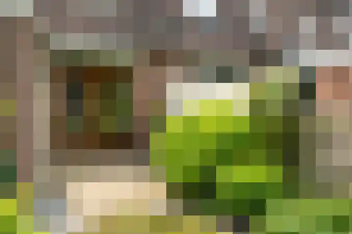 Weegbree 99 Zwaag thumbnail 45