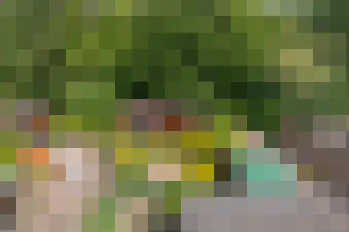 Weegbree 99 Zwaag thumbnail 49
