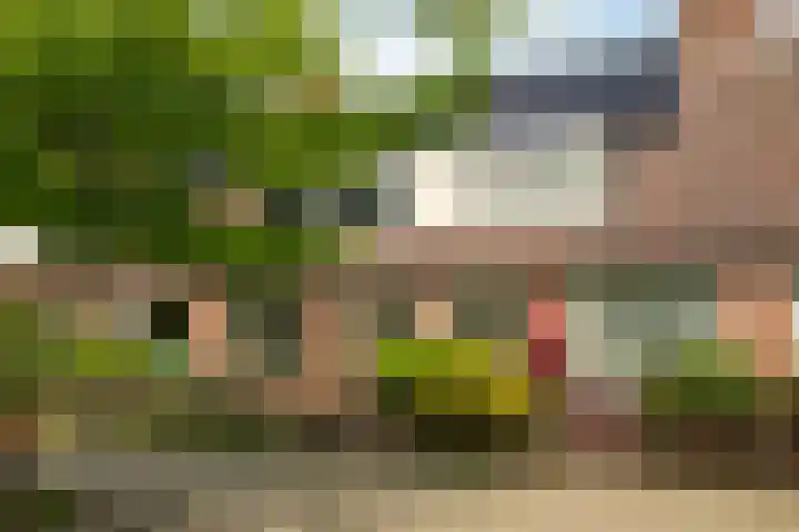 Weegbree 99 Zwaag thumbnail 50
