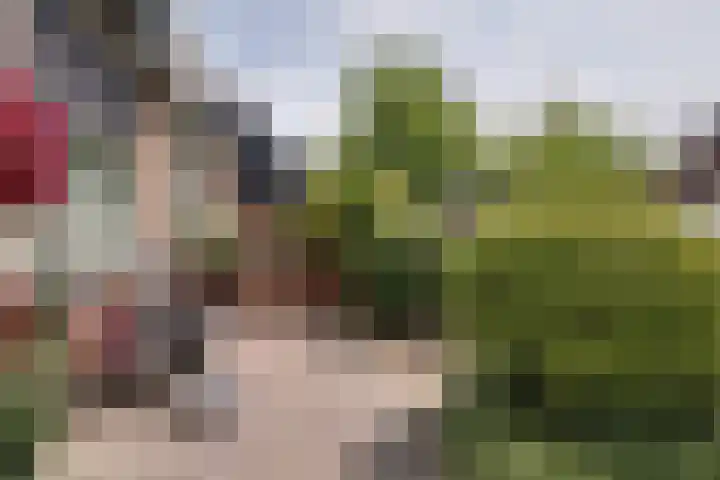 Weegbree 99 Zwaag thumbnail 51