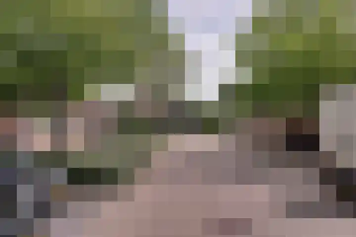 Weegbree 99 Zwaag thumbnail 52