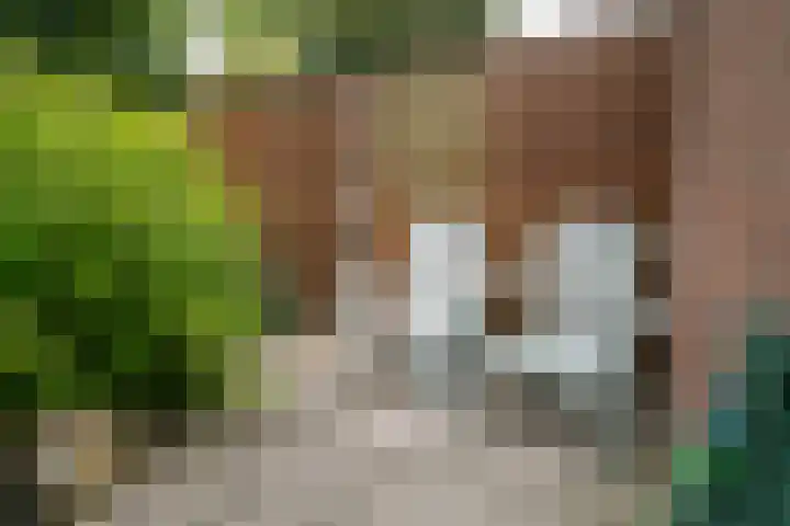 Weegbree 99 Zwaag thumbnail 54