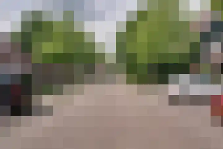 Weegbree 99 Zwaag thumbnail 6