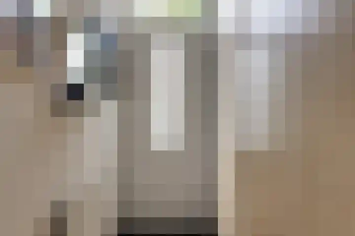 Weegbree 99 Zwaag thumbnail 7