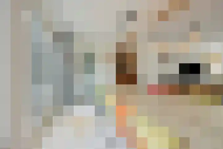 Weegbreelaan 11 Zoeterwoude thumbnail 12