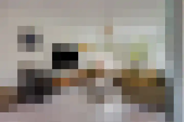 Weegbreelaan 11 Zoeterwoude thumbnail 13
