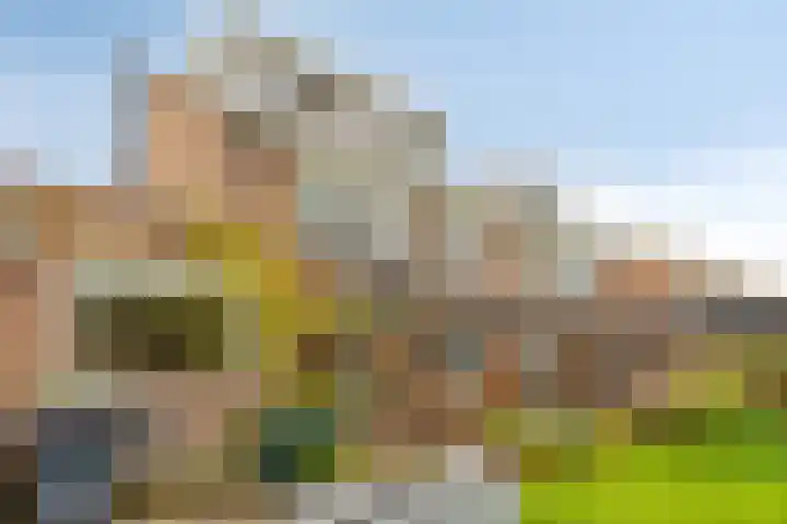 Weegbreelaan 11 Zoeterwoude thumbnail 20