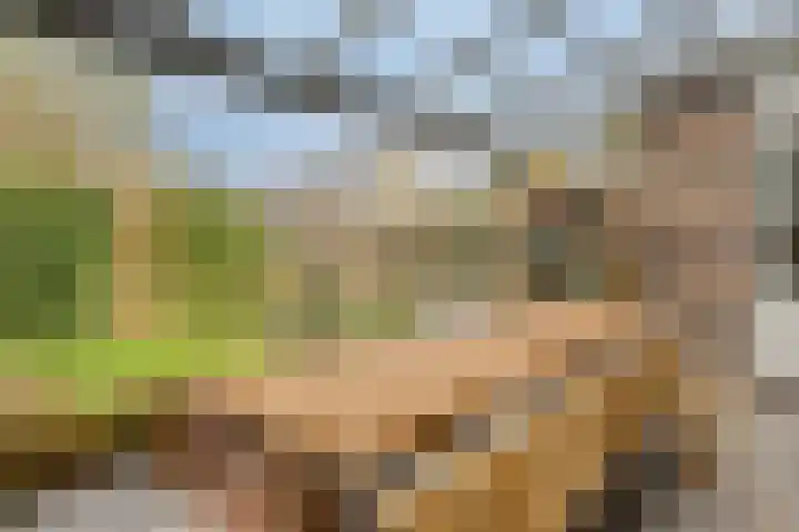Weegbreelaan 11 Zoeterwoude thumbnail 21