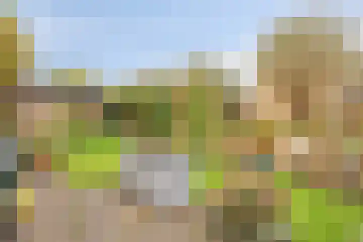 Weegbreelaan 11 Zoeterwoude thumbnail 23
