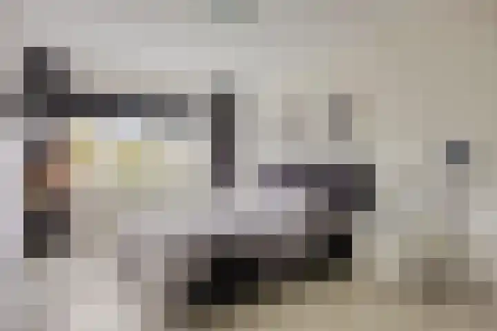 Weegbreelaan 11 Zoeterwoude thumbnail 29