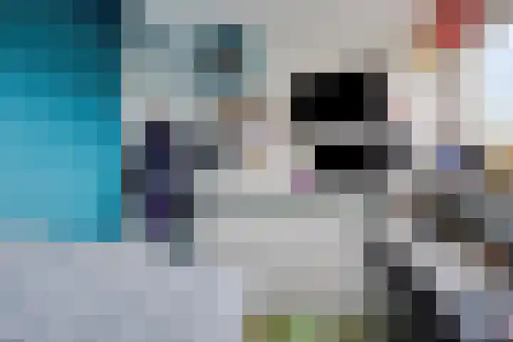 Weegbreelaan 11 Zoeterwoude thumbnail 36